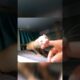 When a ferret wants to show you something: the Series Continues #ferrets #shorts #short #shortvideo