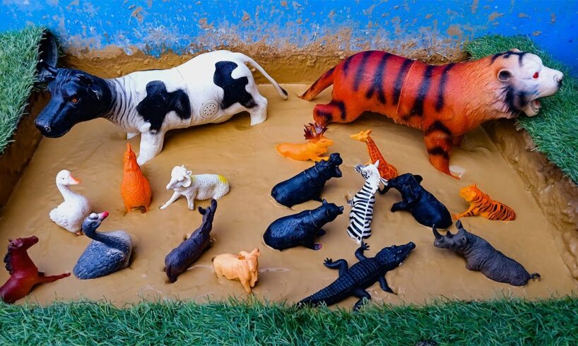 Wild and Farm Animals Playing in Mud: Fun Facts & Amazing Moments | Animals Toy | Animals In Mud