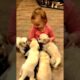 cute baby playing with cute puppies #dog #puppy #baby  #puppies #doglover #cutebaby #babydogs