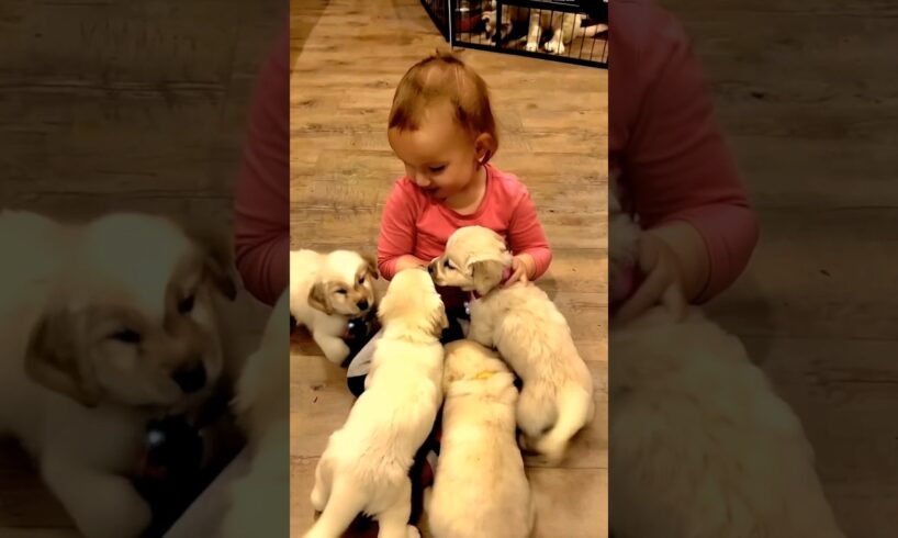 cute baby playing with cute puppies #dog #puppy #baby  #puppies #doglover #cutebaby #babydogs