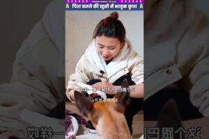 पिता बनने की खुशी में भावुक कुत्ता 🥰 #animal #animalrescue #animallover #rescue #dog