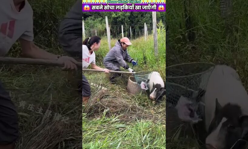 सबने सोचा लड़कियाँ खा जाएँगी 😱 #animal #animalrescue #animallover #rescue #pig