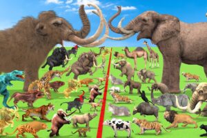 Animal Epic Battle Prehistoric Mammals vs Modern Animals Size Comparison Mammoth MastodonVsElephant