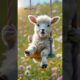 Animals playing with rocking horses#animals #horses#cuteanimals #shorts #ytshorts