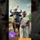 Animals rescue video | Mother and buffalo animals video #shorts #ai #animalrescue #mother #animals