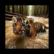 Animated baby tiger rescue |animal rescue #animals #shortfeed #ytviral #2025