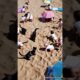 Babies and animals playing on the beach