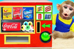 Baby Monkey KiKi playing with Candy Vending Machine so funny | KUDO ANIMAL KIKI