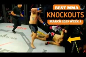 Best MMA Knockouts | March 2025 Week 2