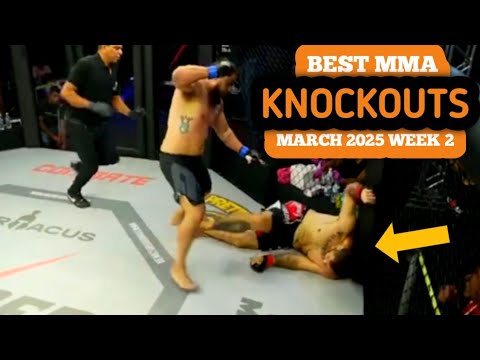 Best MMA Knockouts | March 2025 Week 2