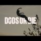 Døds or die  | TV2 #døds #dodsordie #TV2 #diving #extreme #sport #stunt stuntman