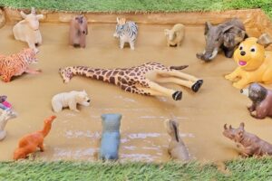 Endangered Animals Save the Day in the Mud | Play & Learn Activities for Kids