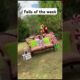 Fails of the week! #fails #failsvideo #failsoftheweek #funny #funnyvideo #viralvideo