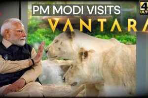 India's PM Modi Visits 'Vantara' Wildlife Rescue Centre in Gujarat | Anant Ambani | 4K | N18L