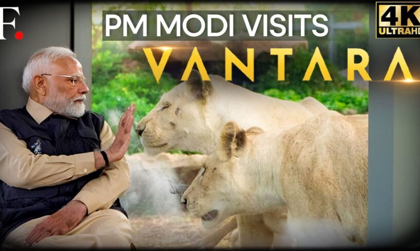 India's PM Modi Visits 'Vantara' Wildlife Rescue Centre in Gujarat | Anant Ambani | 4K | N18L