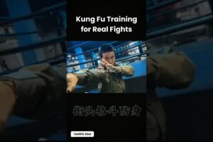 Kung Fu Fighting in Street fight| Master Fast Defense Moves #kungfufighting #kungfu #wingchun #short