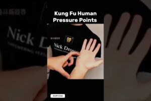 Kung Fu Pressure Points Defeat Any Opponent #kungfufighting #kungfu #martialarts #wingchun #short