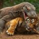 NATURE’S DEADLIEST SHOWDOWNS SHOCKING ANIMAL FIGHTS UNLEASHED !!!