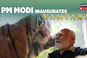 PM Modi Inaugurates World's Largest Wildlife Rescue Centre Vantara, Gujarat | Anant Ambani | N18L