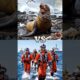 Save the Sea Animals: Rescue Team vs The Great Pacific Garbage Patch(Dolphin,Shark,Penguin,Orca)