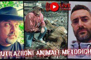 Scopri la Verità Sconvolgente: Mutilazioni Metodiche degli Animali - Un'Indagine Inquietante