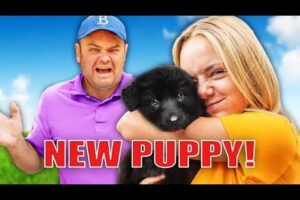 Surprising Dad With A $2000 Puppy! (😱Bad Idea!)