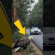 The story of an American bald eagle being saved by a BMW convertible