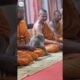 This wild monkey calmly meditates with monks in Thailand | USA TODAY #Shorts