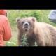 Timothy Hilston Was Killed By These Three Grizzlies