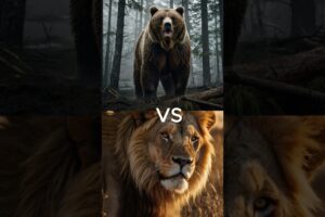 Ultimate Animal Battles: The Most Powerful Predators Face Off!🦁🐻🐺🔥 #epicbattle #animalfight