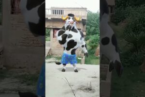 cow funny 🤣 dance # viral 🤩 video # trinding 😂 short 🙏