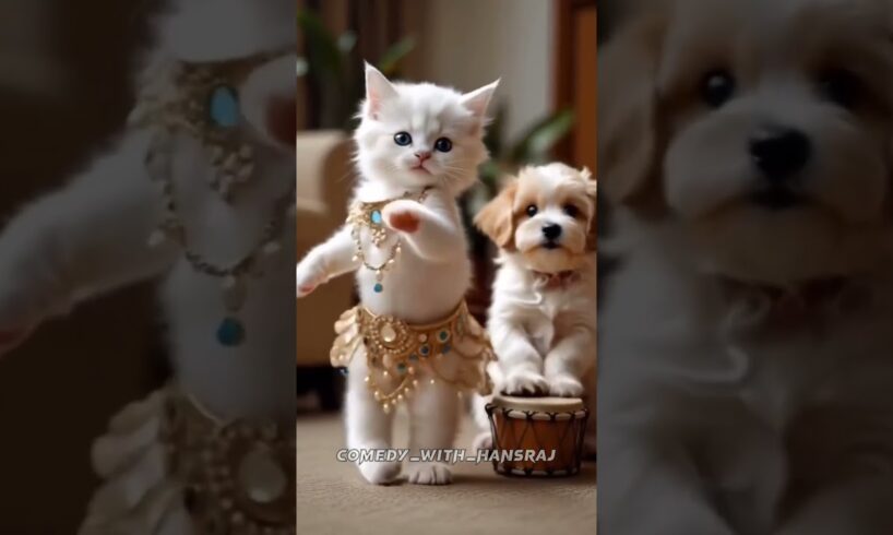 cute dog & puppies dance 🤩🥰 #dogdance #doggydance #funny #cute #puppies