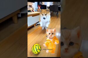 cute puppies viral dance 😅🥳 #dogdance #funny #doggydance #cutepuppies